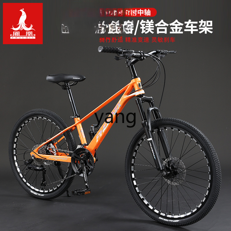 LTT マグネシウム合金製 男女兼用 大人用 マウンテンバイ - Mountain Biking Youth のレビューと価格