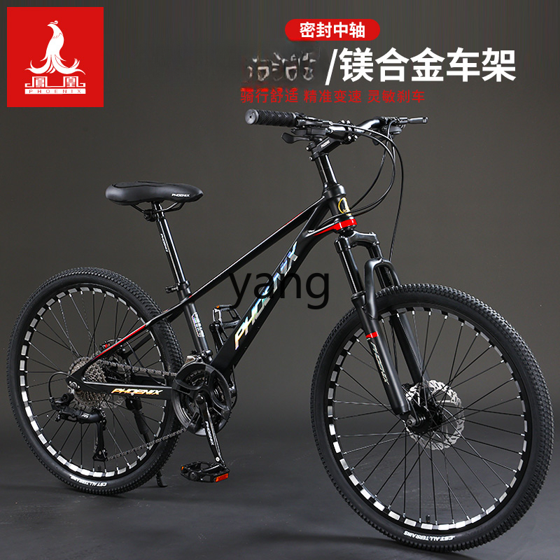 LTT マグネシウム合金製 男女兼用 大人用 マウンテンバイ - Mountain Biking Youth のレビューと価格
