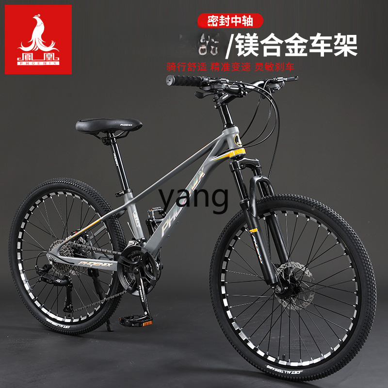 LTT マグネシウム合金製 男女兼用 大人用 マウンテンバイ - Mountain Biking Youth のレビューと価格